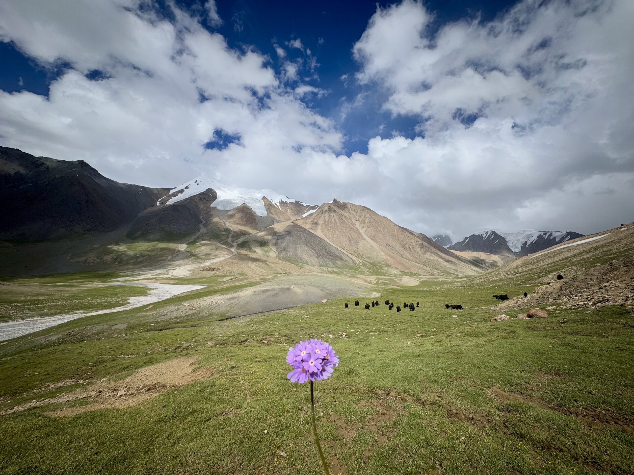 Col de Shimshal & Minglik Sar