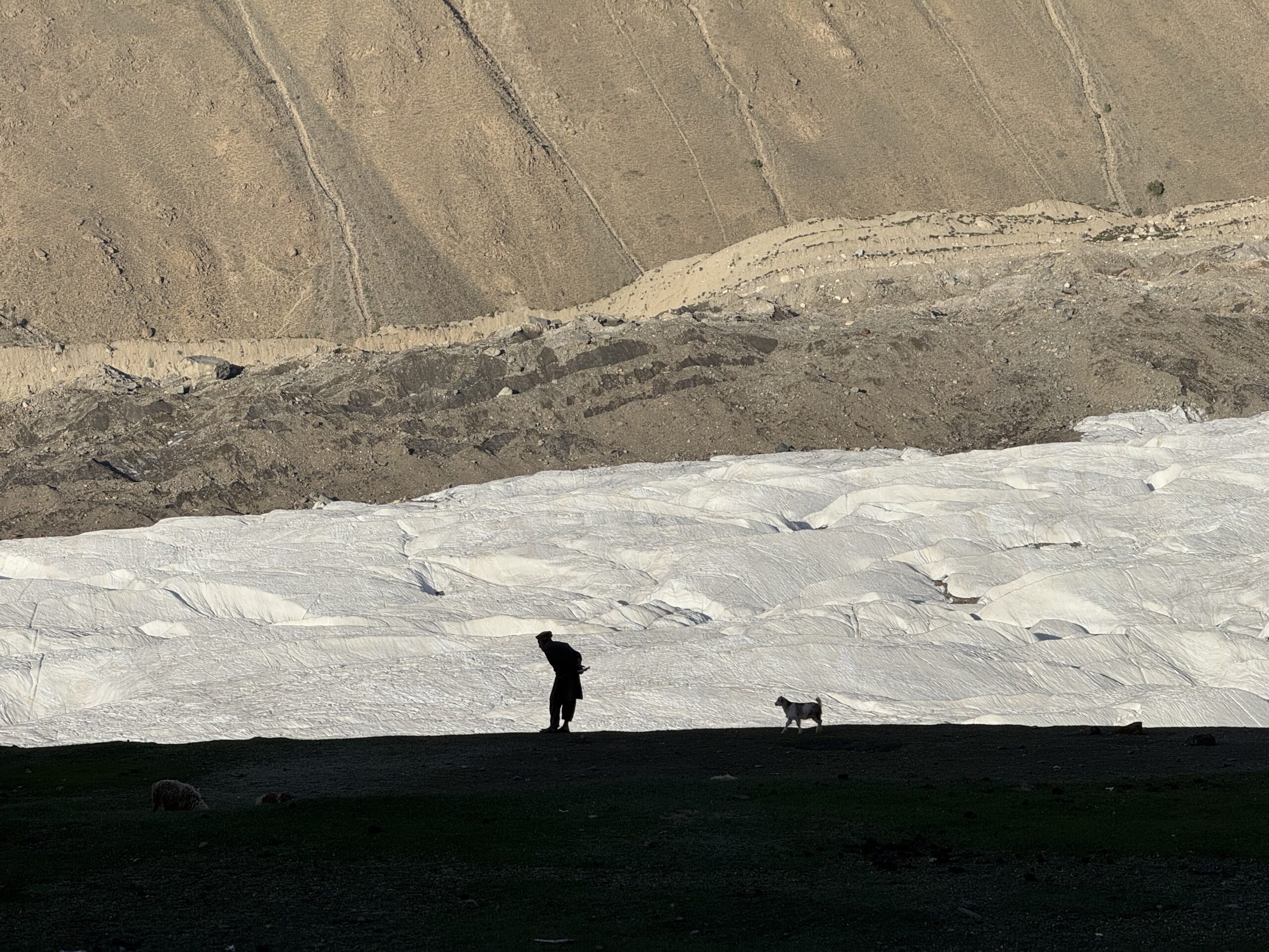Berger dans le Karakoram — vie pastorale Hunza